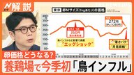 エッグショック再来？鳥インフルエンザの影響とその対策