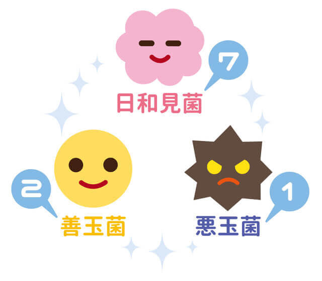 便秘解消に効果的！きゅうりから得られる5つの栄養効果とは？