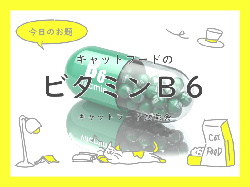 ビタミンBと亜鉛の関係：吸収と代謝のメカニズムを解明