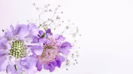 マンホルモン・秦野隆光さん、交通事故で突然の死去…