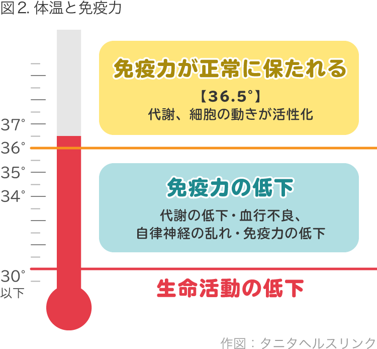  免疫力を高める4つの習慣とは？親が実践する方法