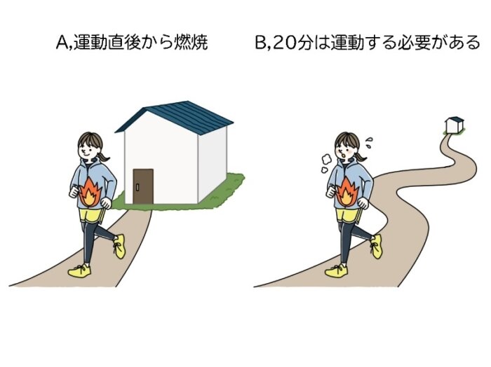 1日1分の簡単トレーニングで腹筋を鍛える！主婦のための体幹強化法