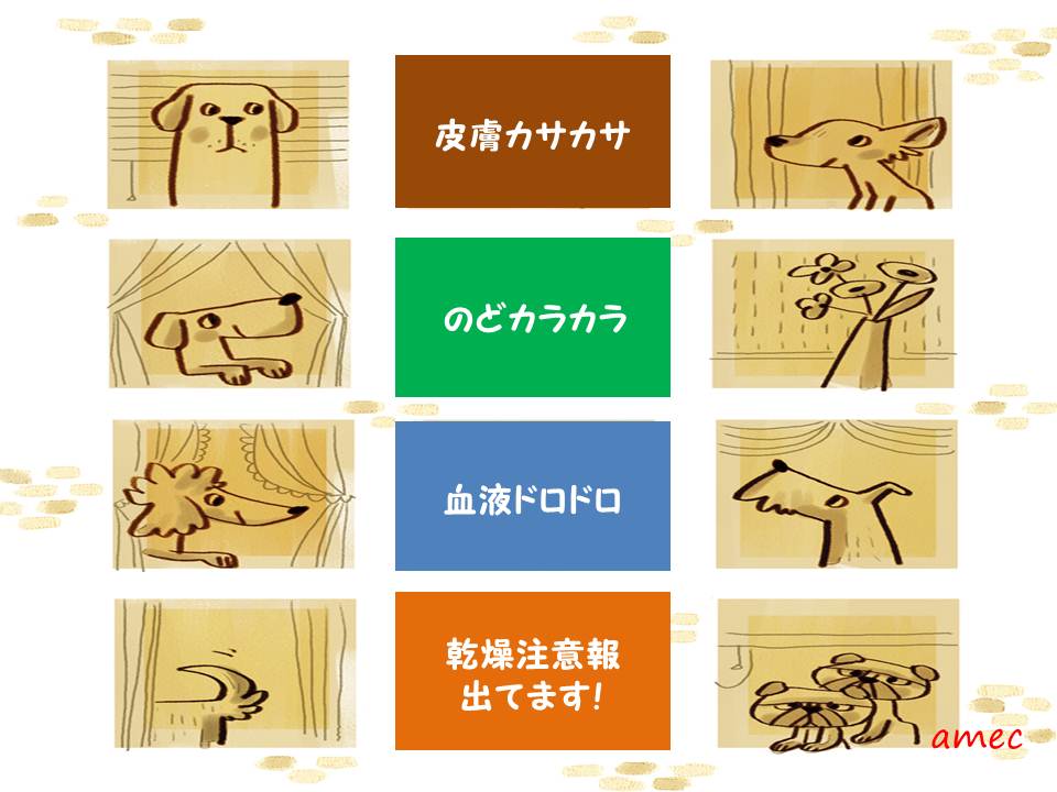 乾燥注意報の影響と寒さ対策について
