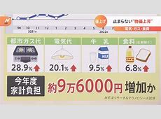 物価上昇に負けない！エンゲル係数30％超を乗り切る食費節約術