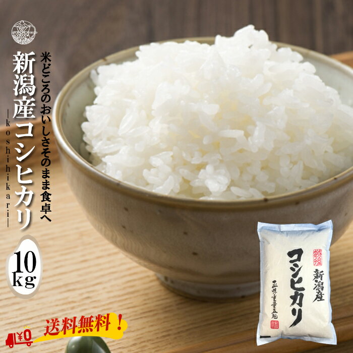 【産地直送】新潟産コシヒカリ白米の魅力とおすすめの食べ方