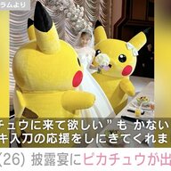 藤田ニコルの結婚披露宴：念願のピカチュウと父親役の感動ストーリー