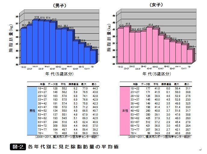 筋肉量と基礎代謝の関係