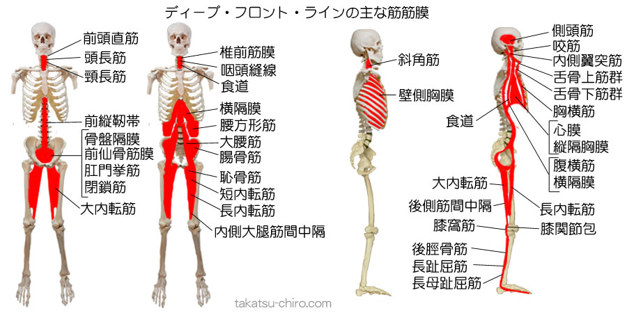 パーソナルトレーナーが教える！更年期対策トレーニングの新常識