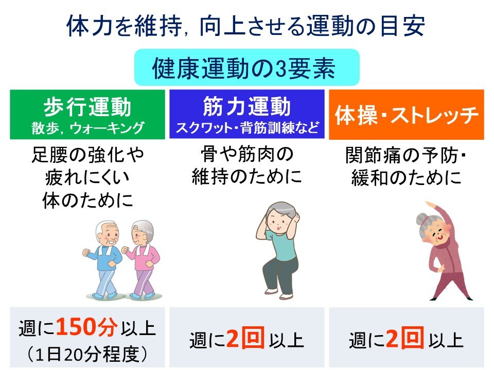 「骨強化に最適！白菜を使った簡単レシピで美味しくビタミンDを摂ろう」