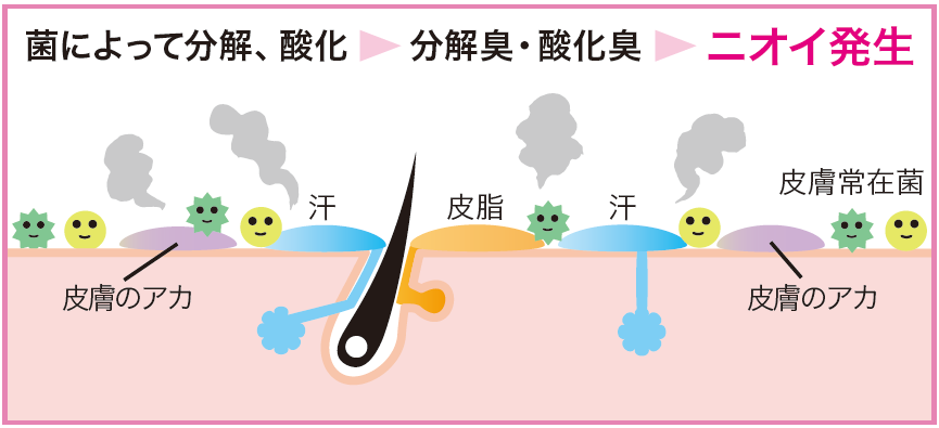 頭皮のニオイが気になるあなたへ！女性の敏感さと男性の反応とは？