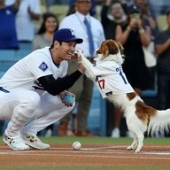 2024年のエンタメを振り返る：大谷翔平と私の5大ニュース