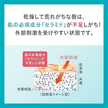 乾燥対策はこれだ！キュレルリップケアバーム徹底レビュー