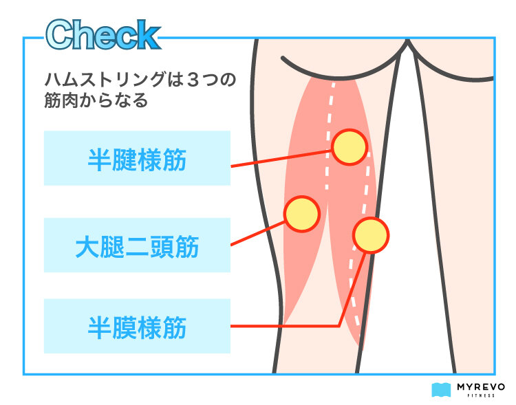 硬さを克服せよ！野球必見の股関節テストと効果的なトレーニング