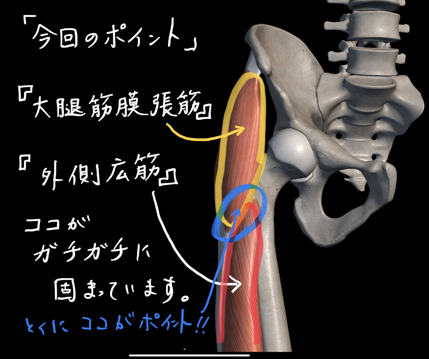 簡単にできる！寝たまま膝パタパタで股関節の詰まり解消