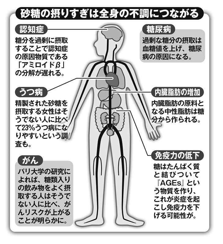 高齢者の運転事故と食事の関係：糖質と塩分の影響を探る