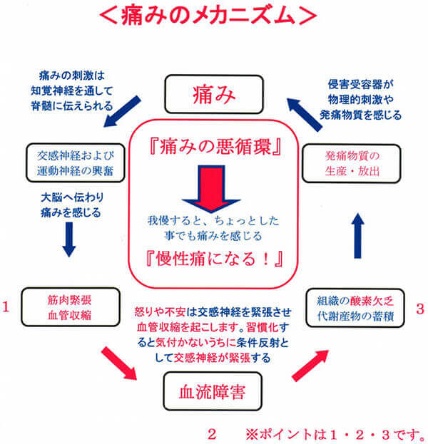 年末年始に注意！体重増加とだるさが示す肝臓の危険信号