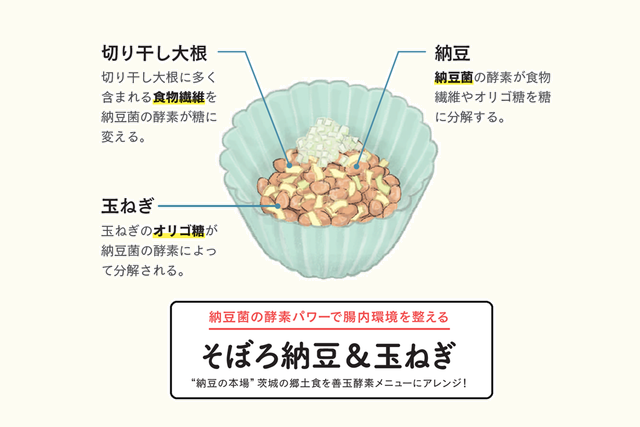 道の駅で見つけた新感覚『塩きり納豆』！茨城土産の新定番を探る