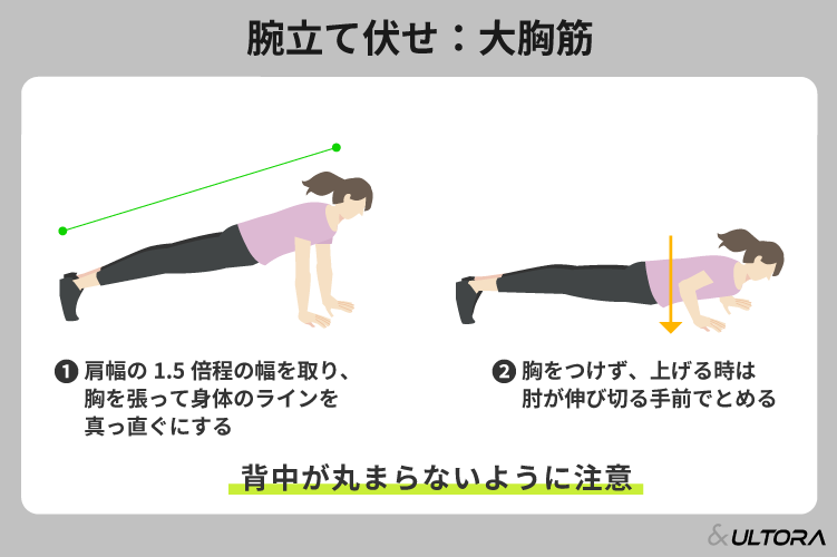 腹筋ローラー完全ガイド：おすすめ11選と使い方のコツ