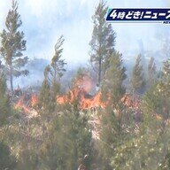 宮崎市での山林火災：住民避難の現状と自衛隊の対応