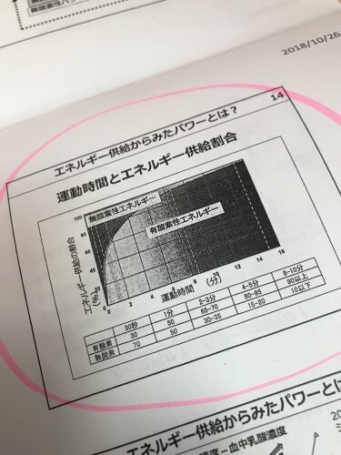 スポーツドリンクはもう古い？科学が証明する夏の水分補給法