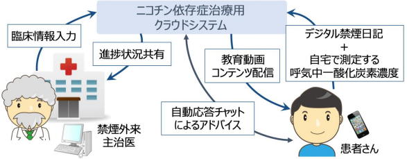 禁煙後の体重増加と高血圧の関連性についての最新情報が明らかに