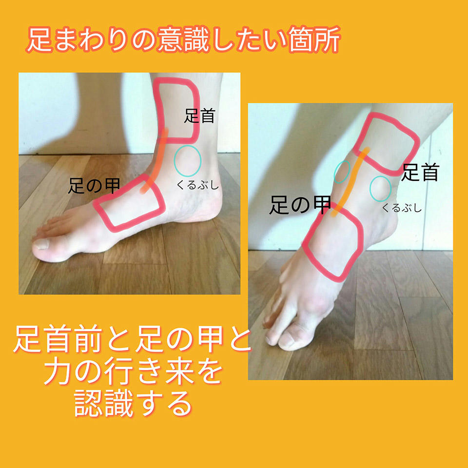 「ニッポン足裏意識調査」から見える踏み出す健康の秘訣