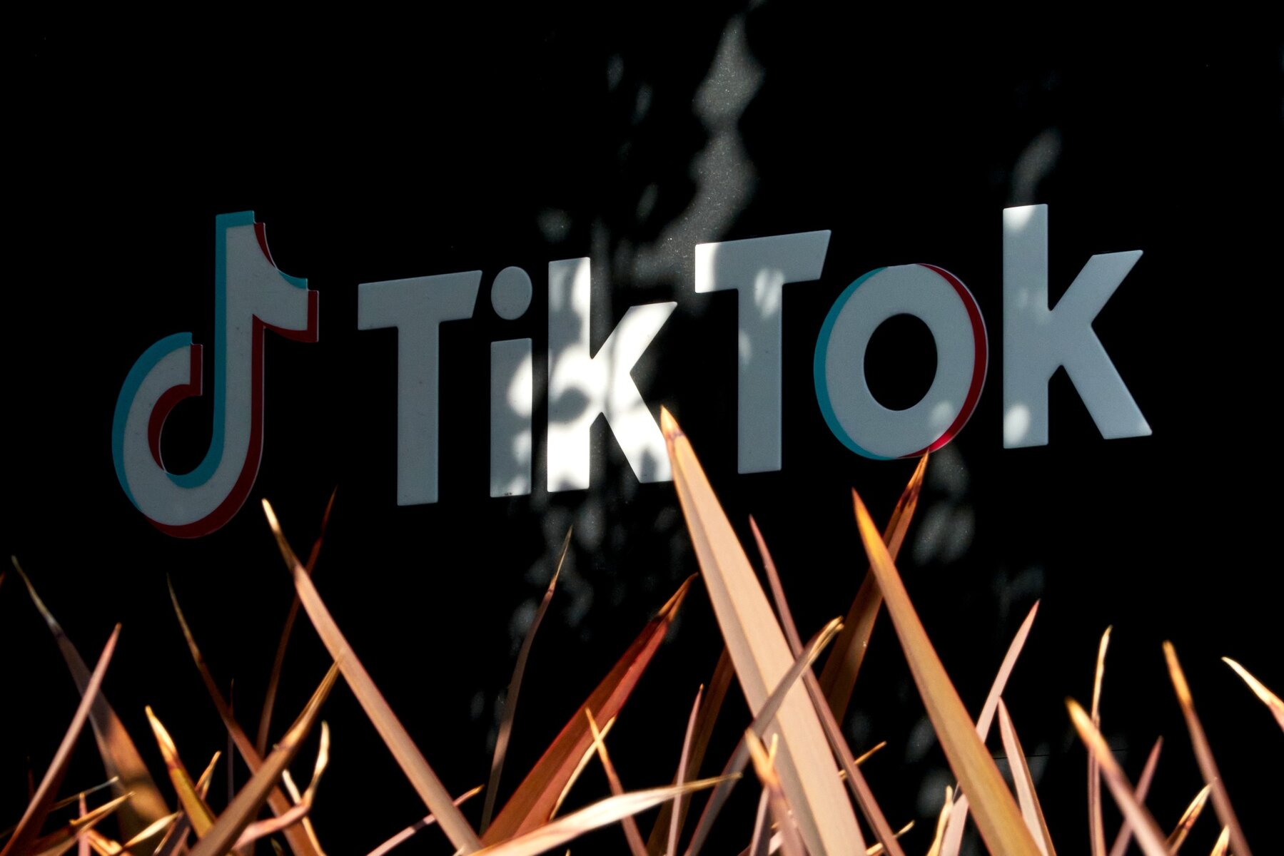 トランプ政権とTikTok：禁止法を巡る新たな展開