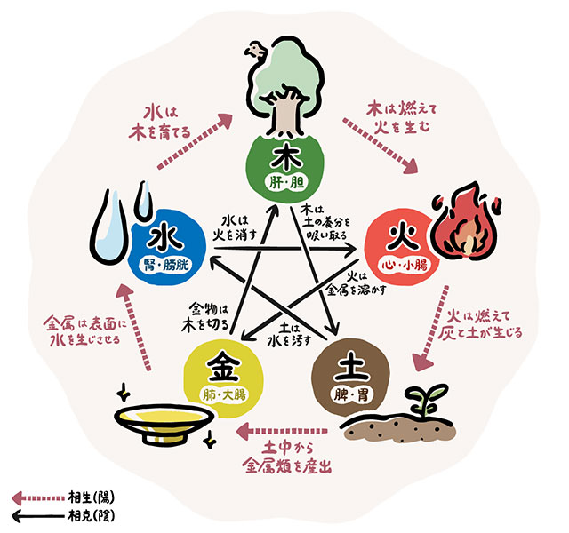健康長寿の秘訣！季節で変わる陰陽五行と愛され体質の作り方