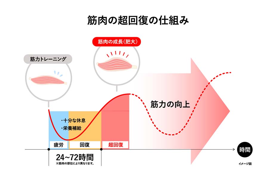 運動効果研究の第一人者に直撃！運動が健康に与える影響に迫る