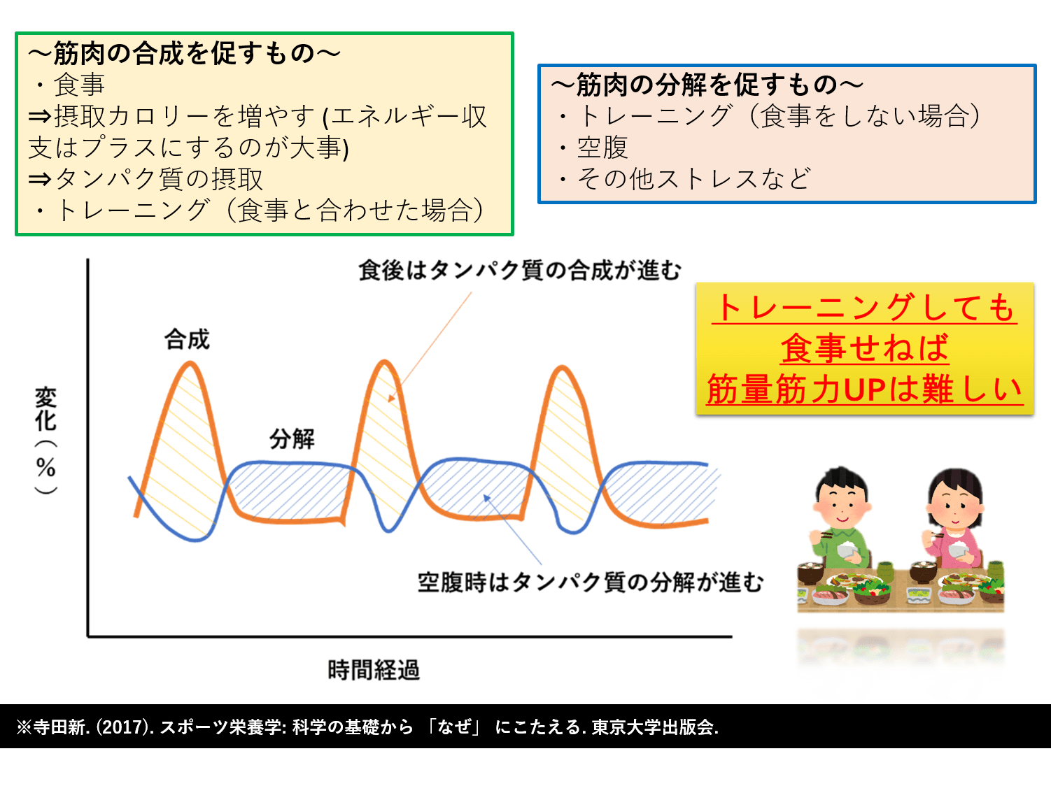 高齢者でも筋肉を増やすためにはたんぱく質摂取が重要！