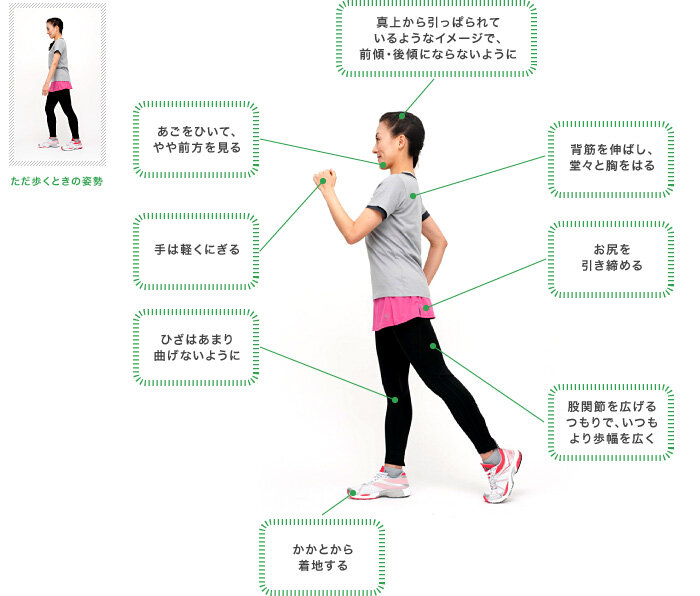 「NB新1080」の進化：二度おいしい歩き方と走り方