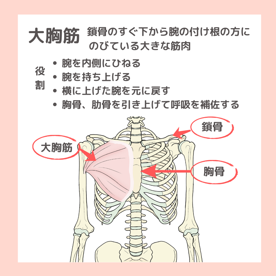 姿勢の影響が健康寿命に与える影響とは？