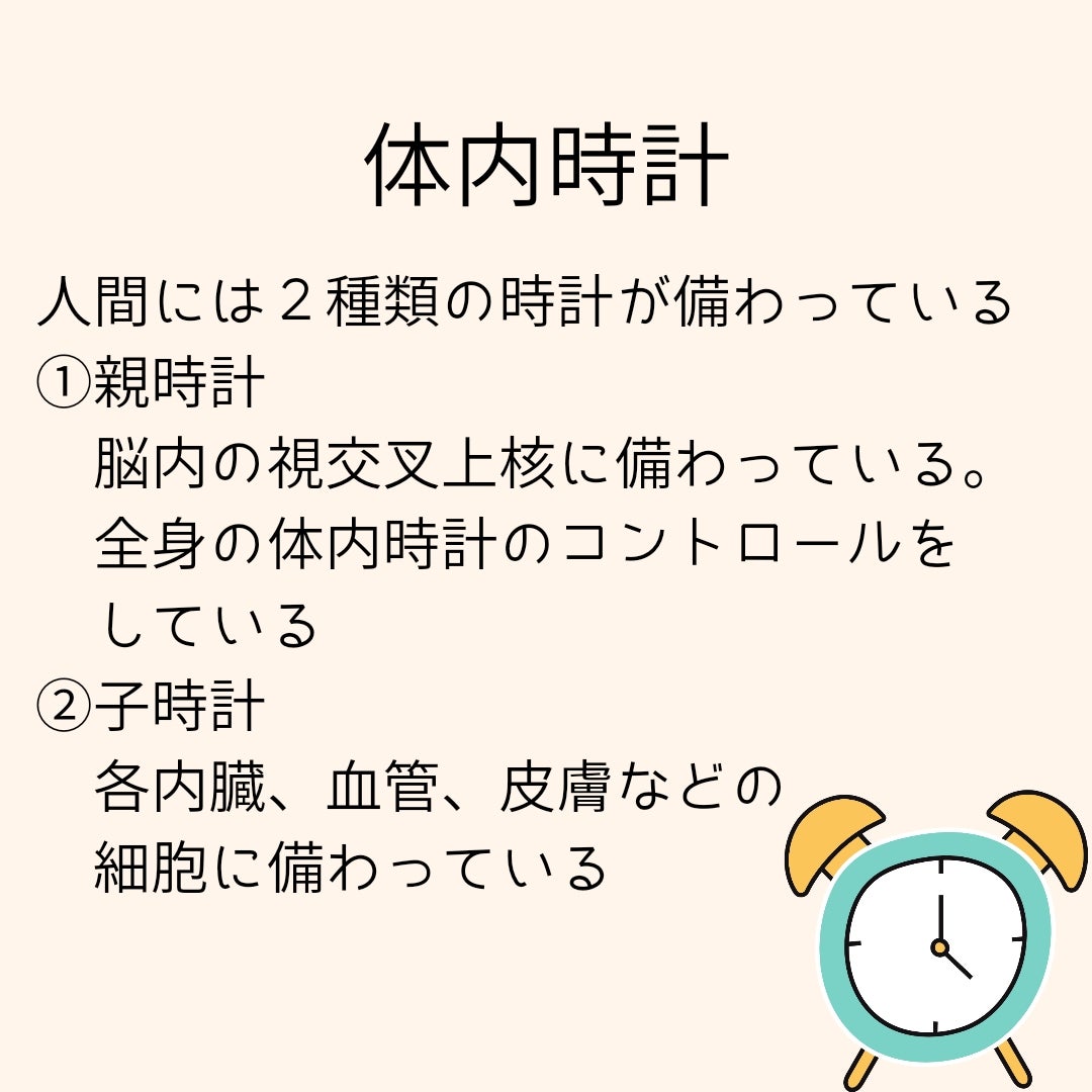 腸内細菌が体内時計やフレイルにも影響？最新研究からわかる驚きの関連性