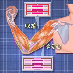 アイリスオーヤマ、ヘルスケア製品と連携する健康管理アプリを開発