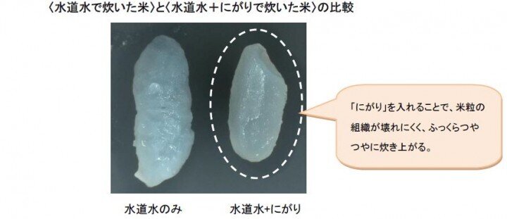 「にがりベースの新ライフケアブランド『umiral』がバスソルトとハンドクリームを発売！」