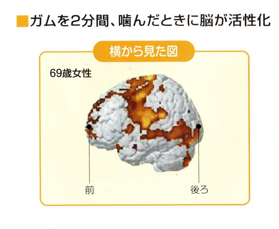 朝食をよく噛むことで脳の目覚めを促進！カルビーの調査結果が明らかに