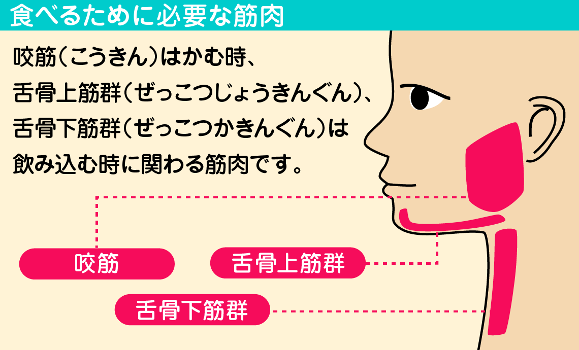 専門家解説：災害レシピがもたらす栄養と健康の重要性