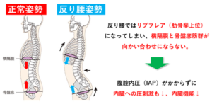 「ぽっこりお腹を解消！magicoあばら姿勢サポーターが注目のアイテムとして話題」