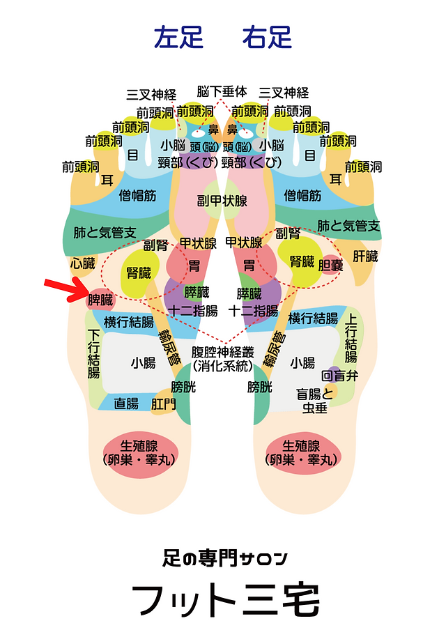 中日・山浅龍之介、脾臓損傷で練習中に負傷 - その影響とは？