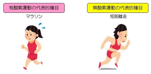 ファステッドカーディオのメリットとデメリット: 朝の空腹で行う有酸素運動