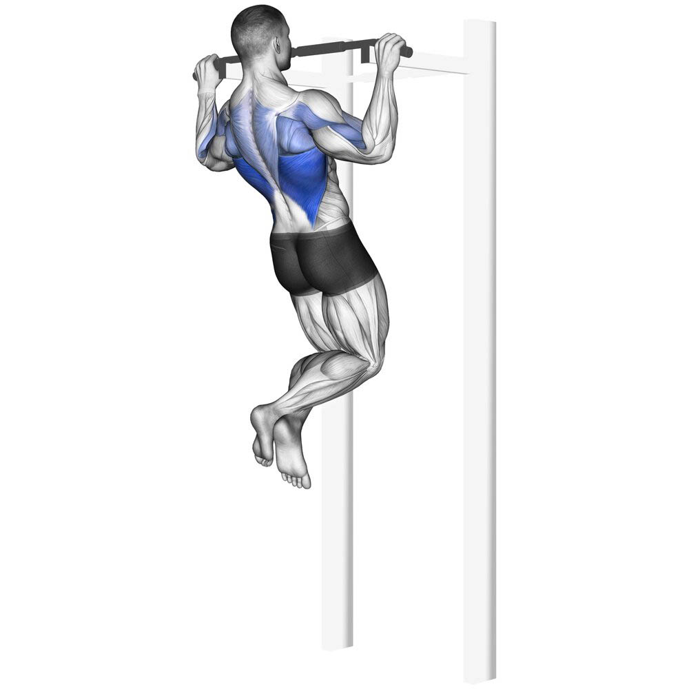 筋トレにハマった元アパレル店員がSSAプロ資格取得！肩幅が広いと自信満々