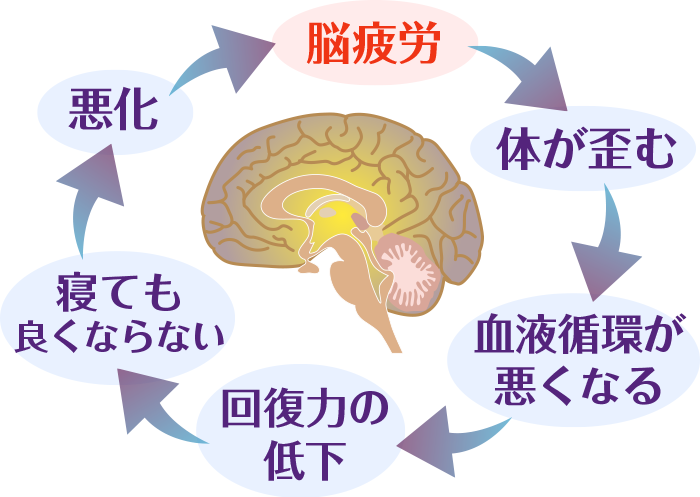 梅干しと鶏胸肉で脳疲労を撃退！のびやかな思考を取り戻そう