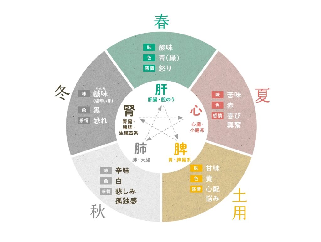 内臓風水で整える五臓と人間関係の秘密