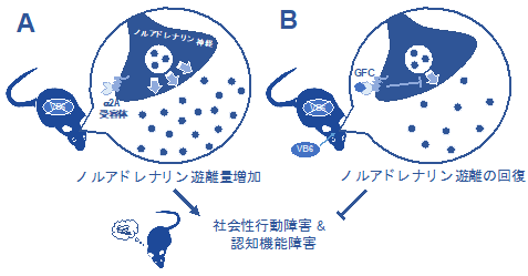 栄養不足が引き起こす睡眠不調とは？ビタミンB6の効果と食品