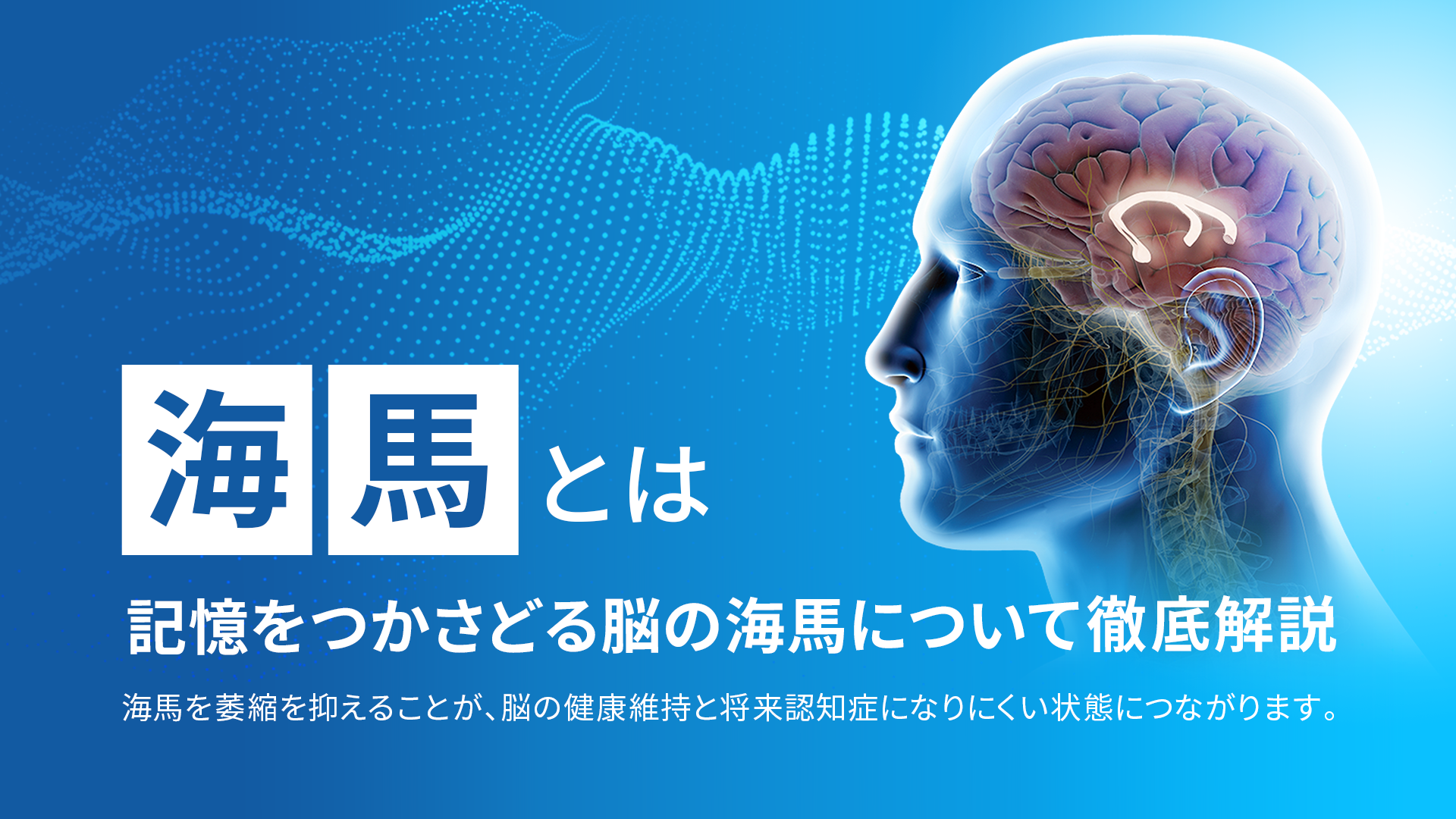 脳科学の最前線：海馬の新生ニューロンが認知を変える