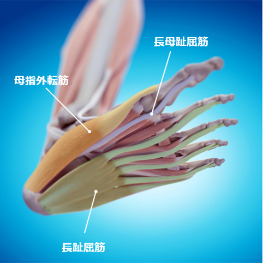 ケガを防ぎ、登山を楽しむための筋トレガイド