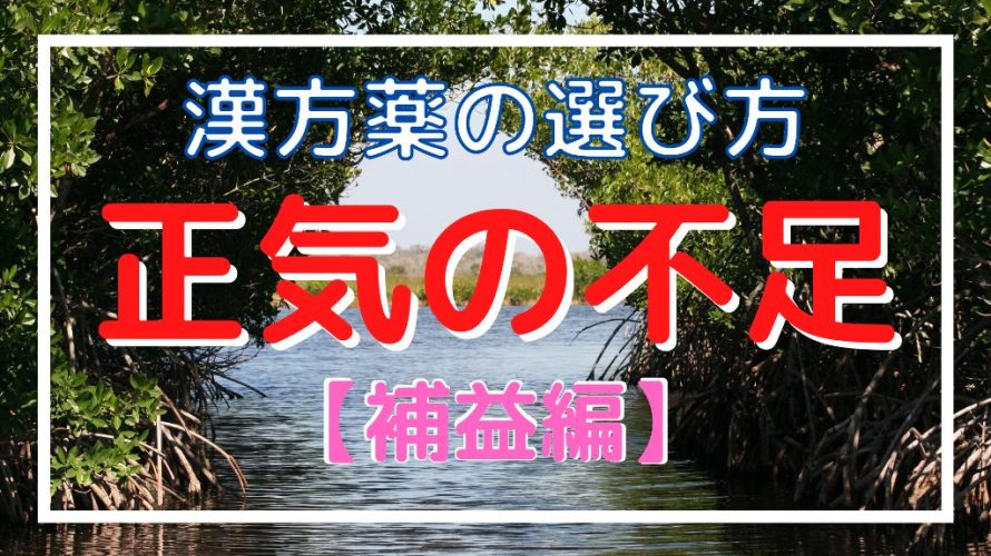 漢方資格入門：プロになるための必要な資格と仕事内容解説