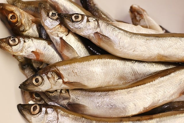 魚と環境保護：持続可能な未来への鍵