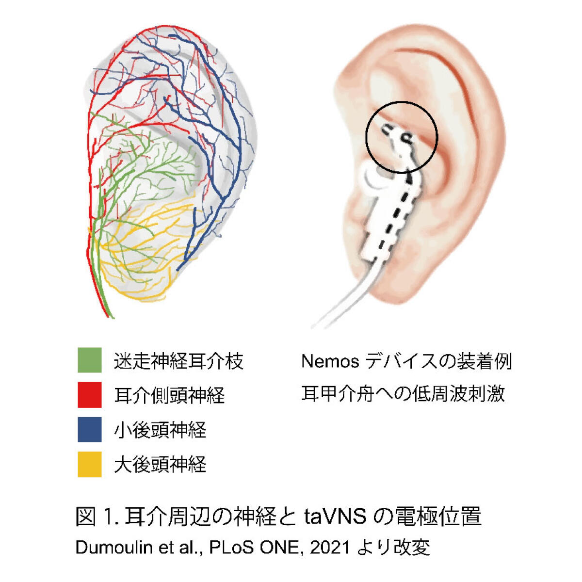 試験中に失神!? 感染症ニュースが警鐘！食中毒の危険性とは