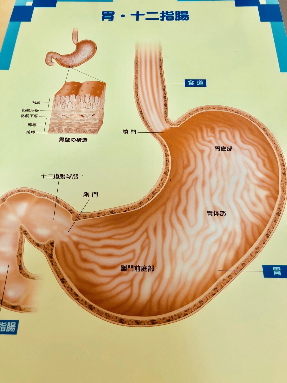 胃腸力が血糖コントロールのカギ！糖尿病ネットワークがおすすめするクッキングセミナー
